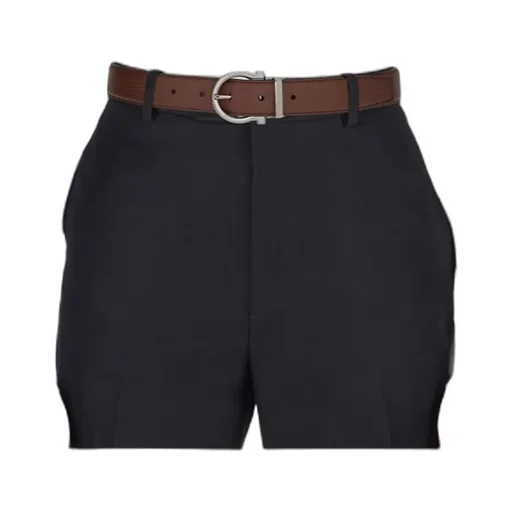 Reversible And Adjustable Belt