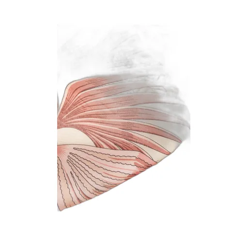 Silk Scarf With Print