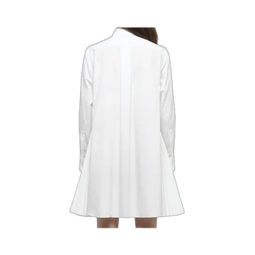 Long-Sleeved Shirt Dress