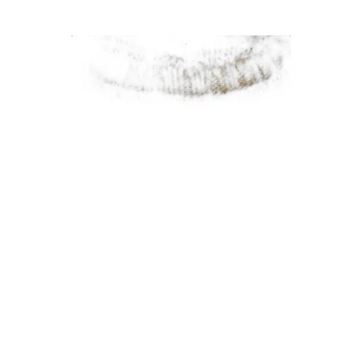 Contrasted Jumper