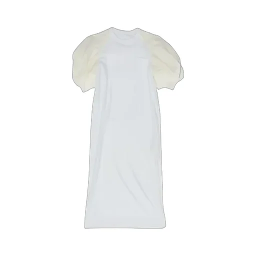 Balloon Sleeve Dress