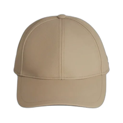 Baseball Dome