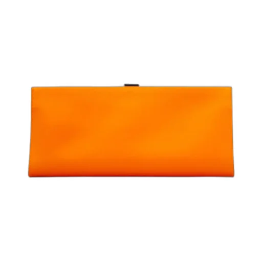 Buckle Embellished Clutch Bag