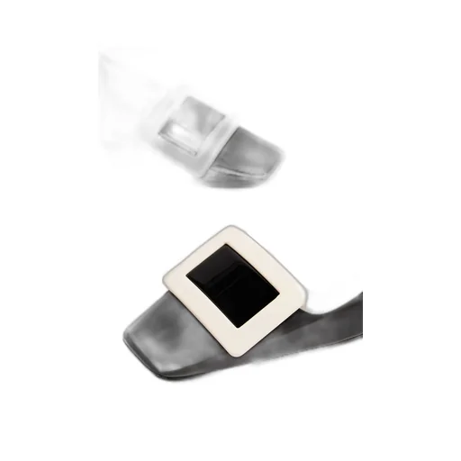 Belle Vivier Buckle Pumps