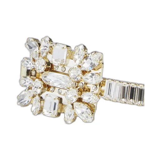 Broche Vivier Buckle Hair Clip