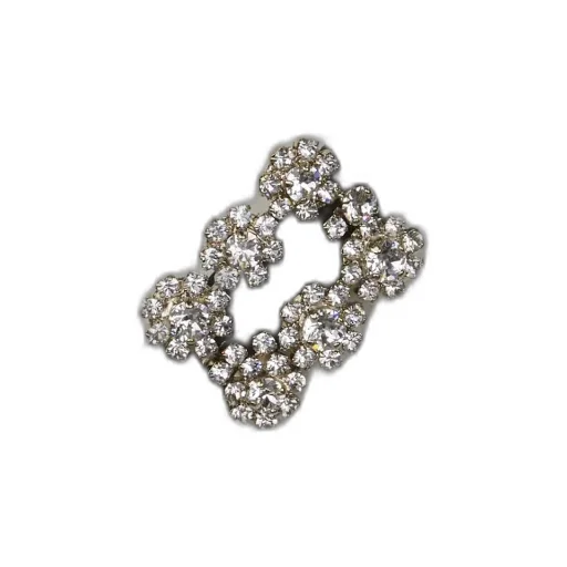 Broche Vivier Buckle Belt