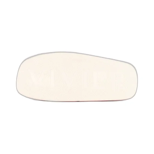 Vivier Leather Slides