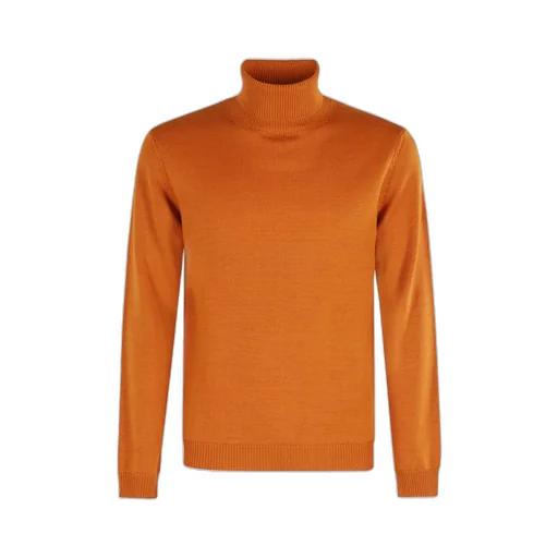 Turtleneck Long Sleeve Sweater