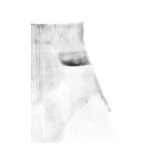 Dirt Cutoffs Frayed Shorts