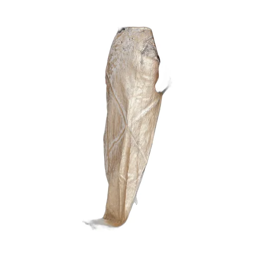 Edfu Maxi Skirt