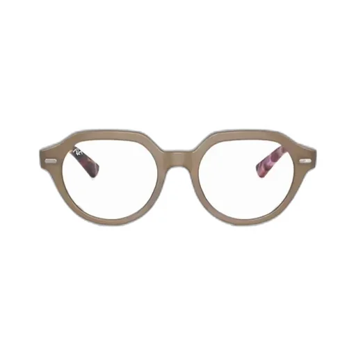 Gina Optics