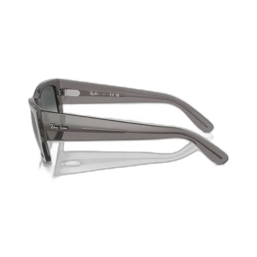 Rectangular Sunglasses