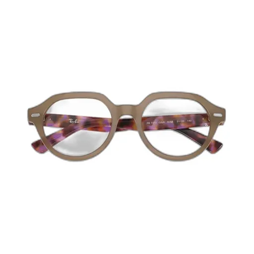 Gina Optics