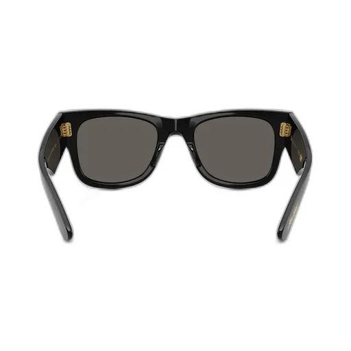 Frame Sunglasses