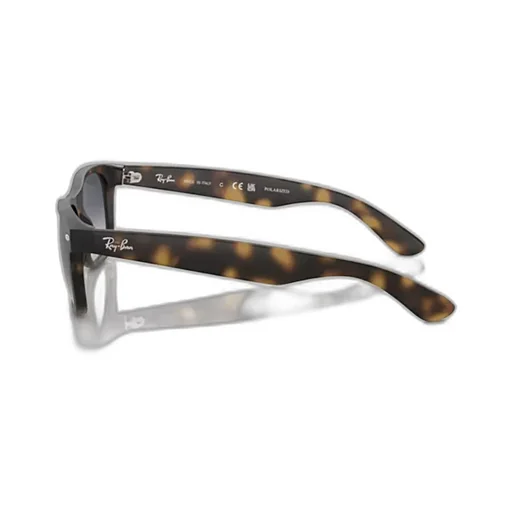 New Wayfarer Sunglasses