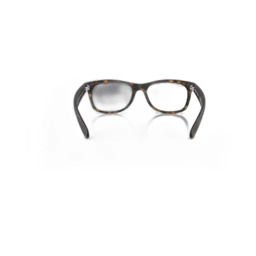 New Wayfarer Sunglasses