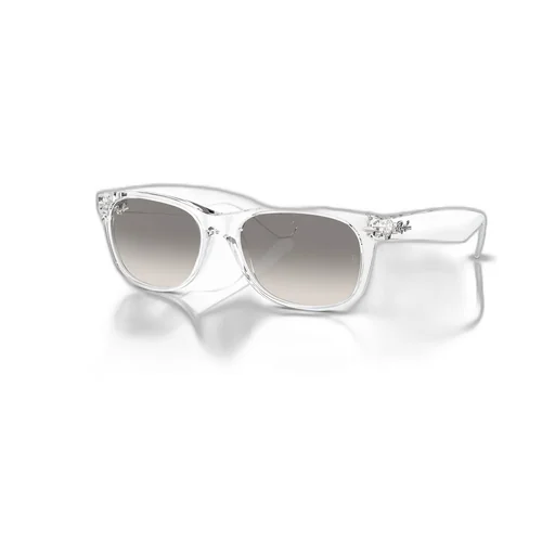 New Wayfarer Sunglasses
