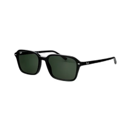 Frame Sunglasses