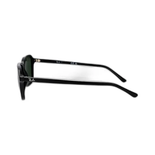 Frame Sunglasses