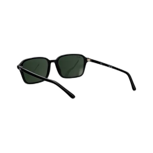 Frame Sunglasses