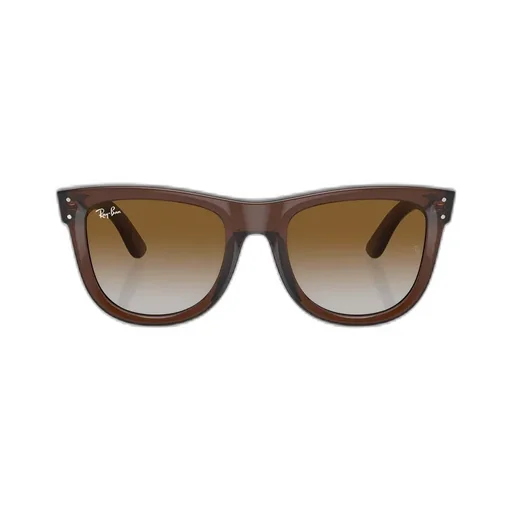 Wayfarer Reverse Sunglasses