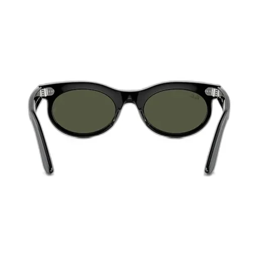 Wayfarer Oval-Frame Sunglasses