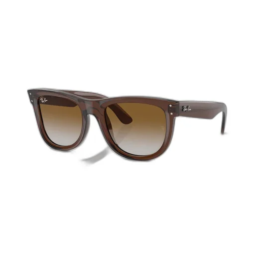 Wayfarer Reverse Sunglasses