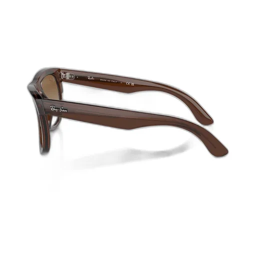 Wayfarer Reverse Sunglasses