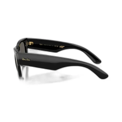 Frame Sunglasses