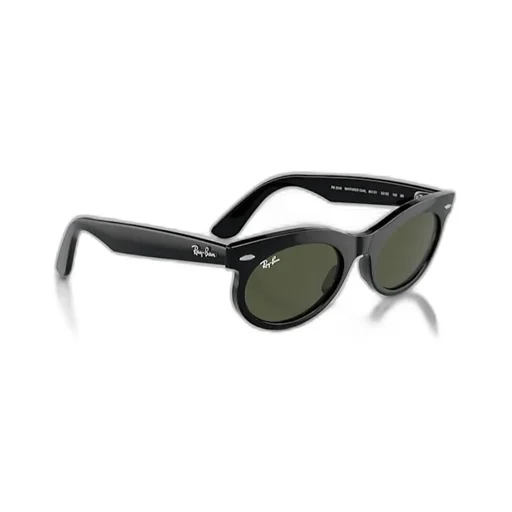 Wayfarer Oval-Frame Sunglasses
