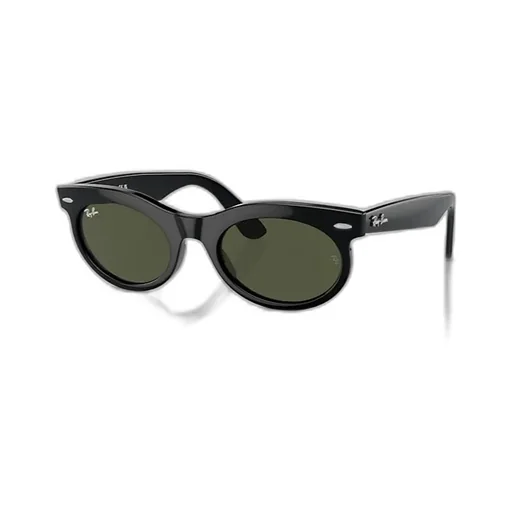 Wayfarer Oval-Frame Sunglasses