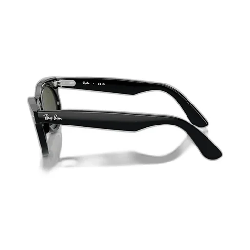 Wayfarer Oval-Frame Sunglasses