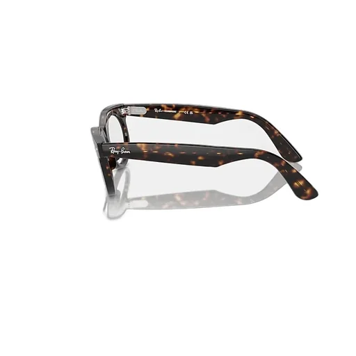 Wayfarer Oval-Frame Sunglasses
