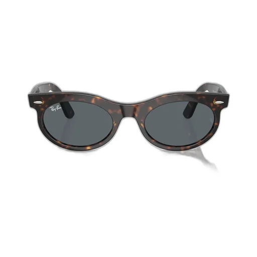 Wayfarer Oval-Frame Sunglasses