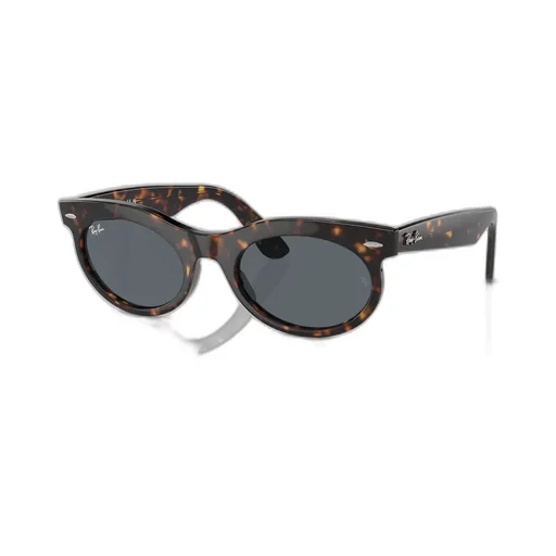 Wayfarer Oval-Frame Sunglasses