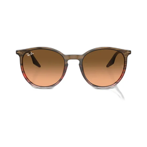 Rb2204 Oval-Frame Sunglasses
