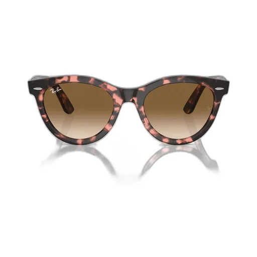 Full Frame Sunglasses
