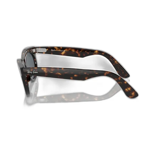 Wayfarer Oval-Frame Sunglasses