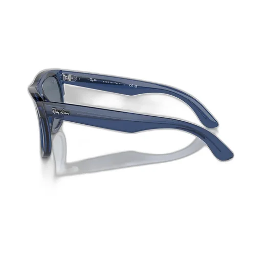 Wayfarer Reverse Sunglasses