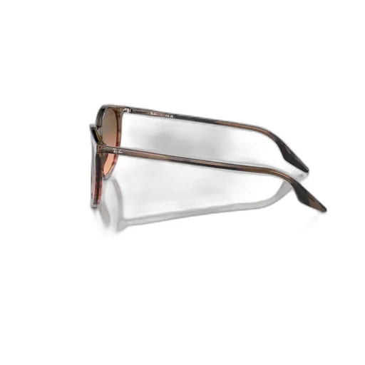 Rb2204 Oval-Frame Sunglasses