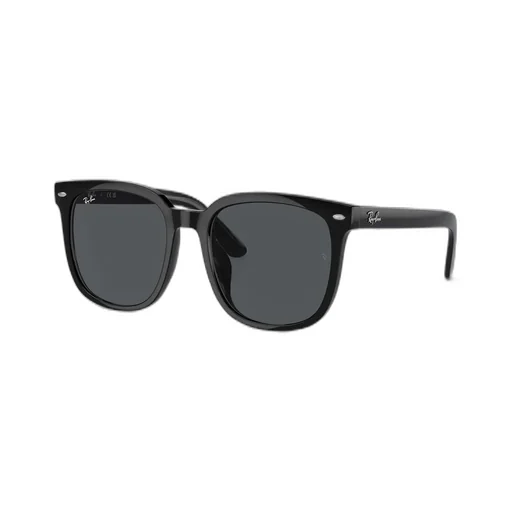 Rb4401D Sunglasses