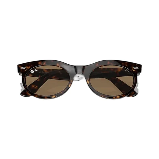 Wayfarer Oval-Frame Sunglasses