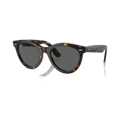 Wayfarer Way Round-Frame Sunglasses