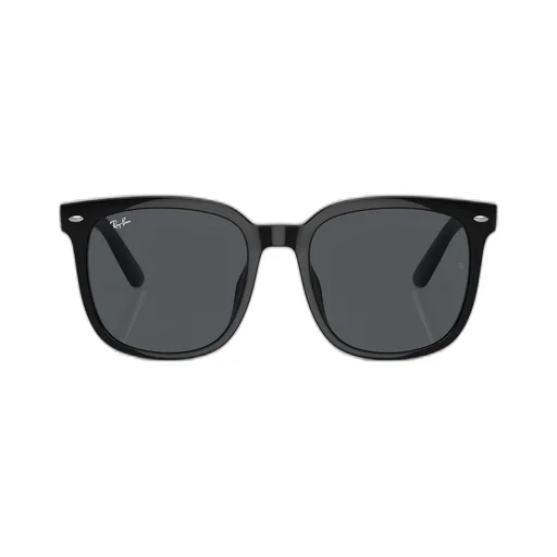 Rb4401D Sunglasses