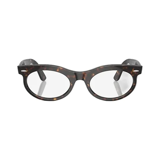 Wayfarer Oval-Frame Sunglasses