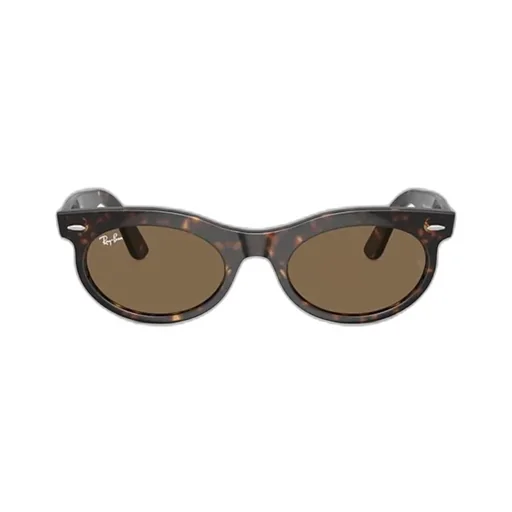 Wayfarer Oval-Frame Sunglasses