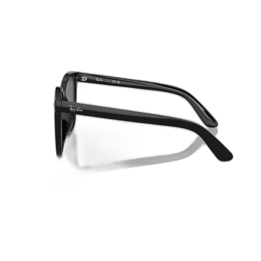 Rb4401D Sunglasses