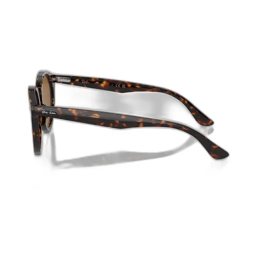 Round Frame Sunglasses