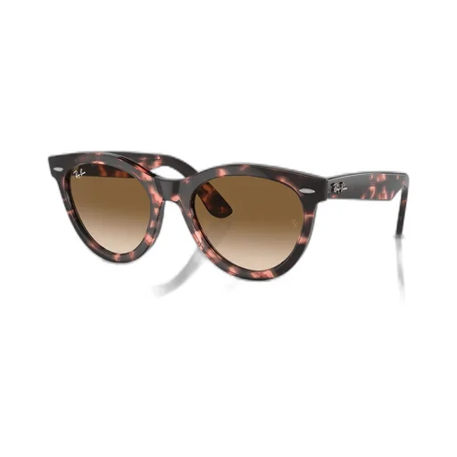 Full Frame Sunglasses