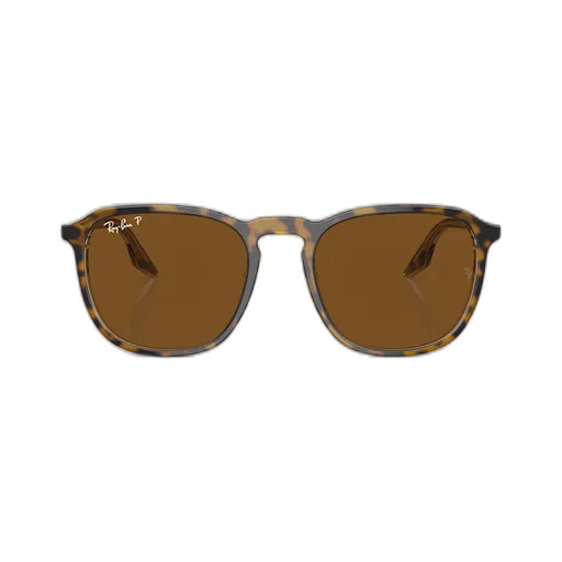 Full Frame Sunglasses
